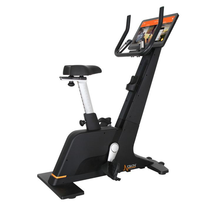 DKN - UPRIGHT BIKE PRO | Laatste kans AFHAALPRIJS*