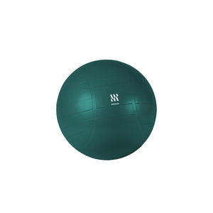 Commercial Stability Ball